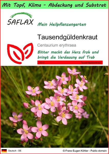 SAFLAX Garden to go - Tausendgüldenkraut - Centaurium erythraea - 250 Samen - Mit Topf, Klima - Deckel und Anzuchtsubstrat