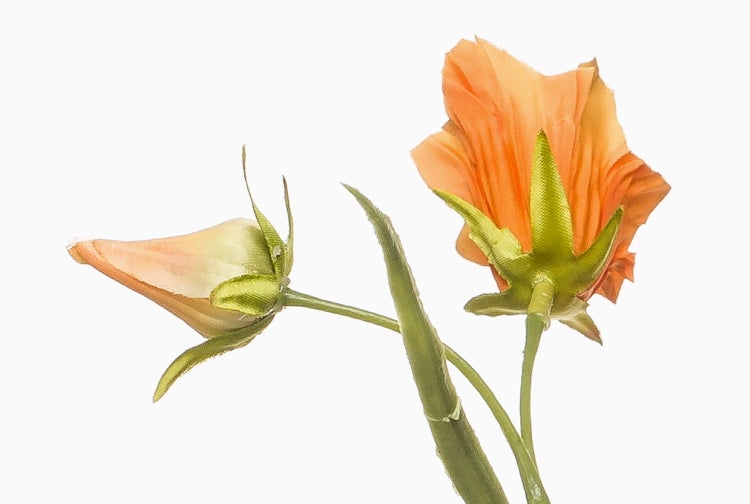 Künstliche Graspflanze mit Moos in einem dunklen Kunststofftopf.