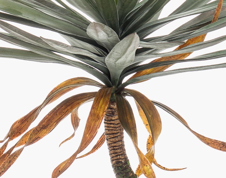 Künstliche Yucca-Palme mit strukturiertem Stamm und grünen, spitzen Blättern in einem schwarzen Topf.