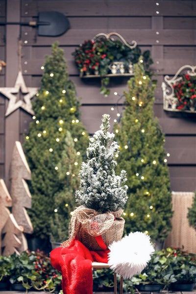 Dekorative Weihnachtsszene mit beleuchteten Weihnachtsbäumen und festlichen Elementen im Außenbereich.