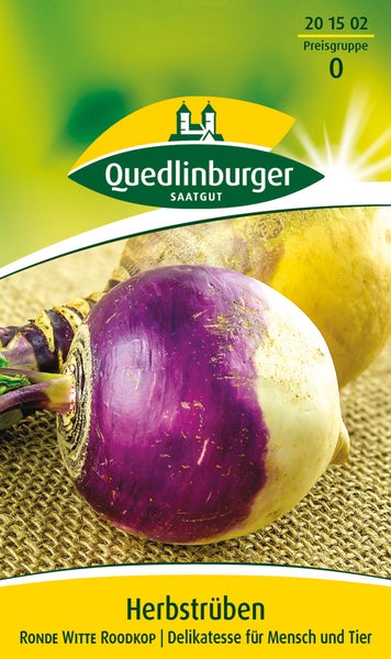 Herbstrüben Ronde Witte Roodkop von Quedlinburger Saatgut