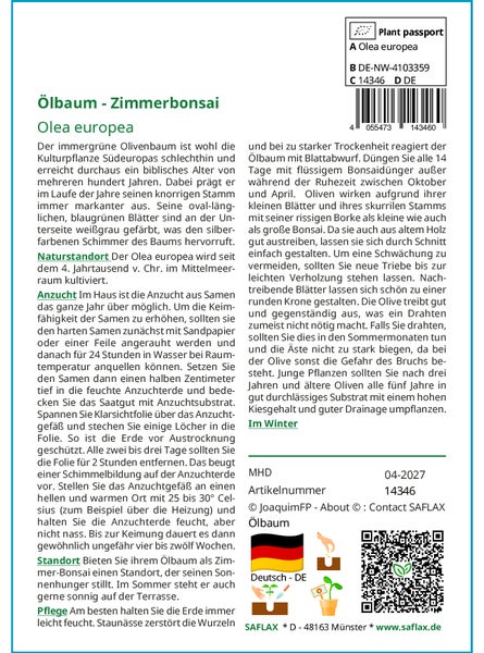 SAFLAX  - Ölbaum - Olea europea - 20 Samen