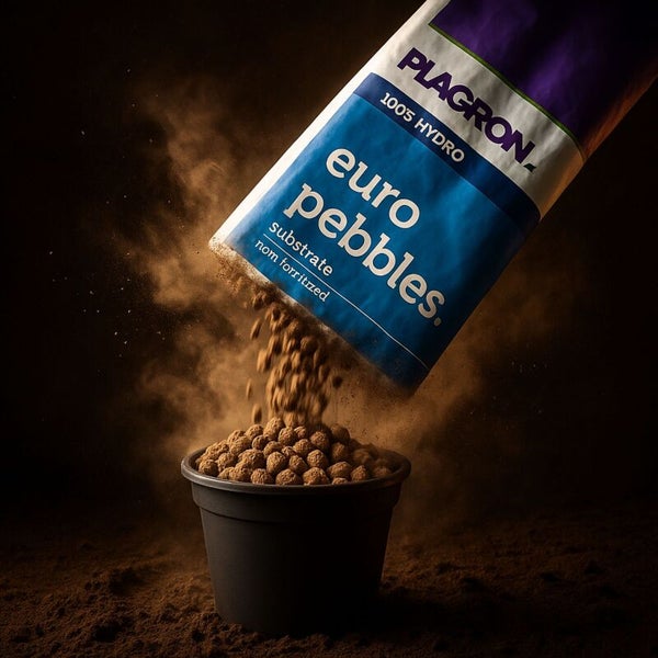 Plagron Euro Pebbles Hydro-Substrat wird aus einem Beutel in einen Topf gefüllt.