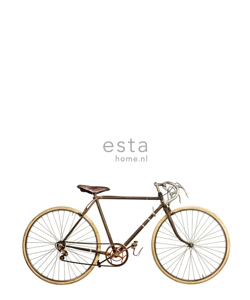 ESTAhome Fototapete altes Fahrrad Weiß, Braun und Beige - 232,5 cm x 2,79 m - 158807