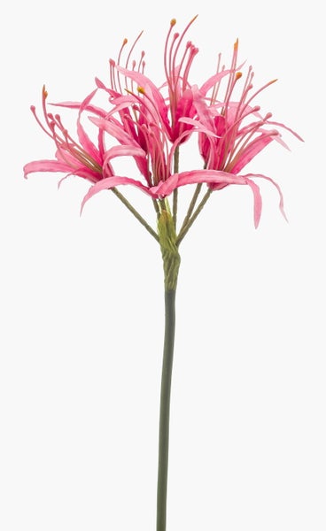 Künstliche Blume Nerine in Pink mit langem grünem Stiel für die Dekoration.