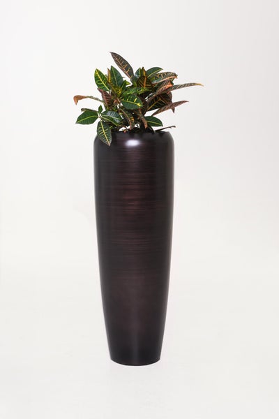 Hohe Bodenvase in Dunkelbraun mit horizontaler Bürstoptik und einer Kroton-Pflanze.