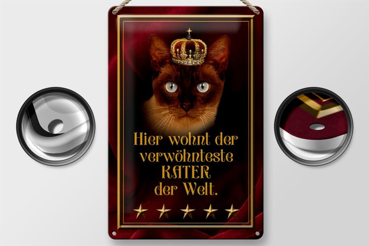 Blechschild Spruch 20x30cm hier wohnt Kater der Welt