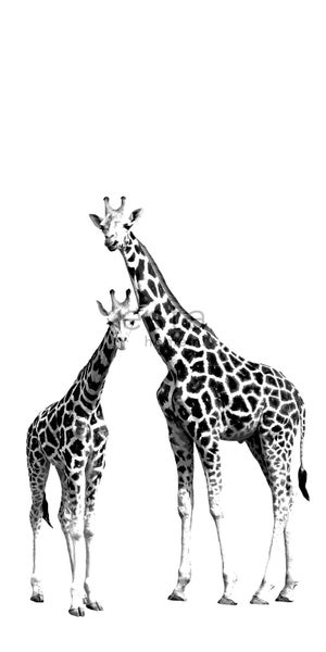 ESTAhome Fototapete Giraffen Schwarz und Weiß - 139,5 cm x 2,79 m - 158701