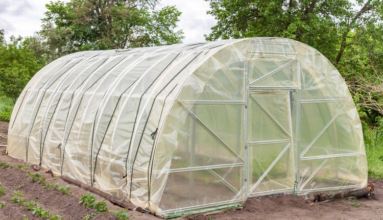 10m Gartenfolie Gewächshausfolie UV 5 Frühbeetfolie Treibhausfolie 4m breit