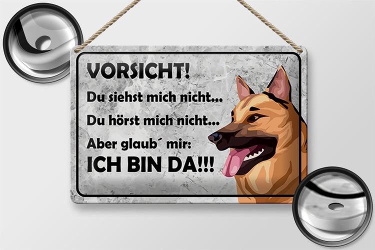 Blechschild Spruch 30x20cm Vorsicht Hund Du siehst mich nicht