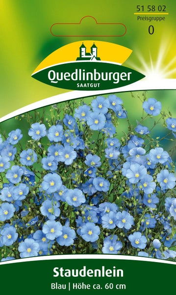 Samenpackung Staudenlein von Quedlinburger Saatgut mit blauen Blüten, Höhe circa 60 Zentimeter. Quedlinburger Saatgut Logo.
