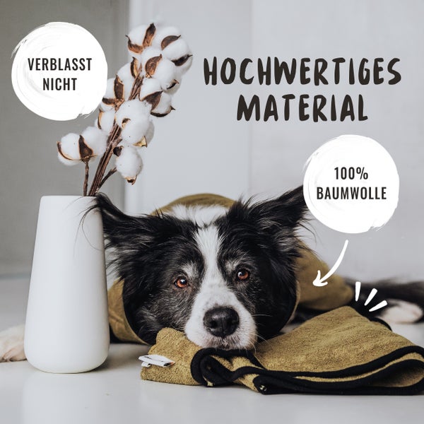 Hund mit Baumwolltuch und Dekoration im Hintergrund. Das Tuch ist aus hochwertigem, farbechtem Material.
