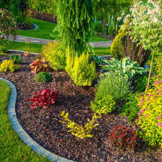 Galamio Rindenmulch Kiefer Fein 60l x 26 Sack 1560l Palette