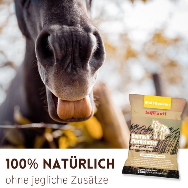 Nahaufnahme eines Pferdes neben einer Packung Pferdefutter der Marke Supravit