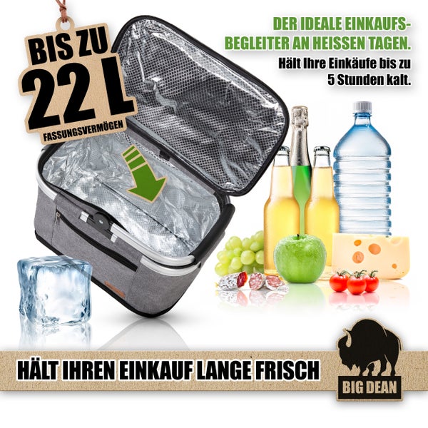 Geöffnete Kühltasche mit Lebensmitteln und Eiswürfel, Fassungsvermögen 22 Liter