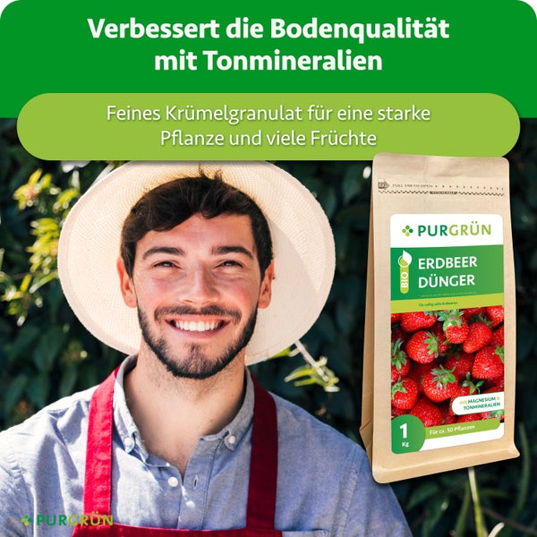 Ein glücklicher Gärtner mit einem Beutel Purgrün Bio Erdbeerdünger, der Tonmineralien für gesunde Pflanzen und reiche Erträge enthält.