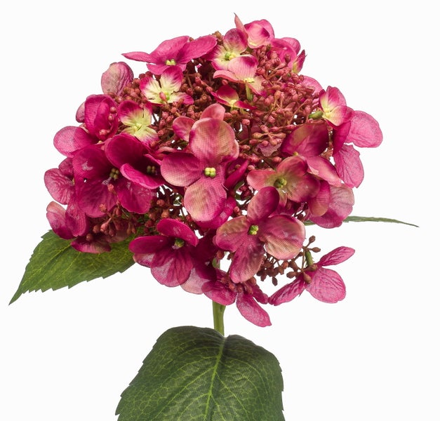 Künstliche Hortensie in Dunkelpink mit grünem Stiel und naturgetreuen Blättern.