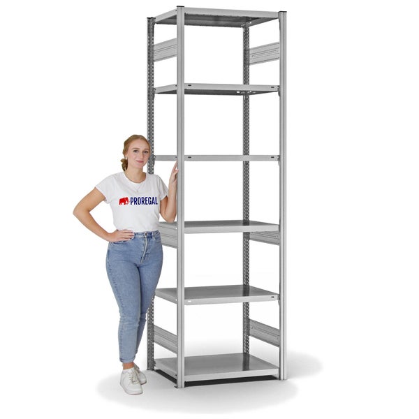 PROREGAL Fachbodenregal Stecksystem T-Profil Medium-Duty Grundregal HxBxT 250 x 75 x 50 cm 6 Ebenen Fachlast 230 kg Beidseitig Nutzbar Verzinkt