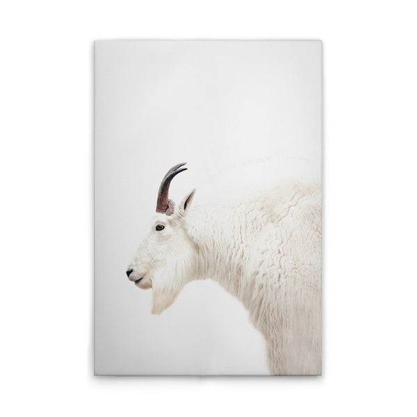 Wandbild mit dem Profil einer Schneeziege