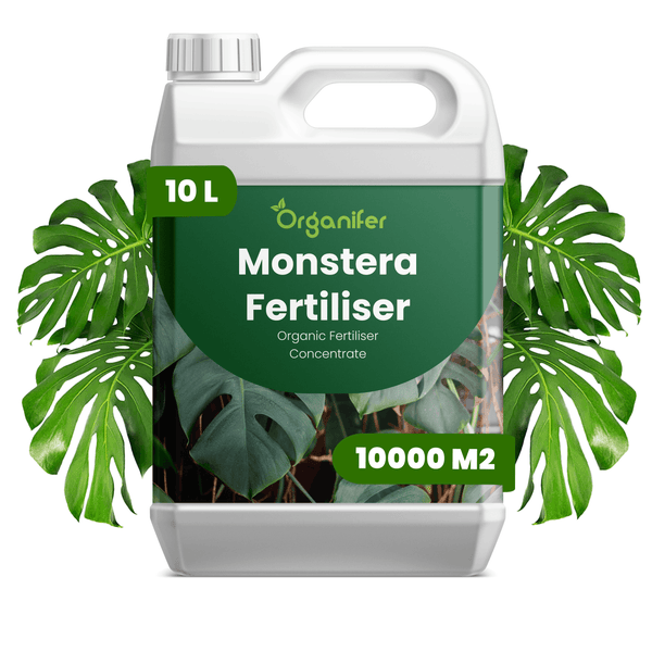 Organifer Monstera Dünger, organisches Düngerkonzentrat, 10 Liter Kanister, ausreichend für 10000 Quadratmeter.