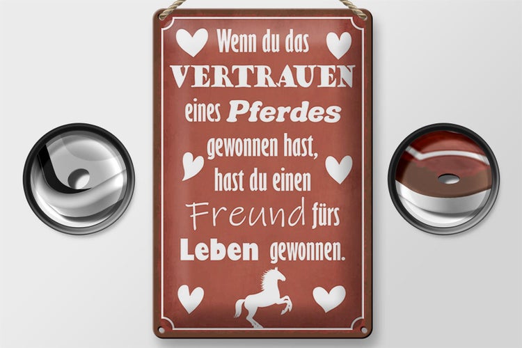 Blechschild Spruch 20x30cm Vertrauen eines Pferdes Freund