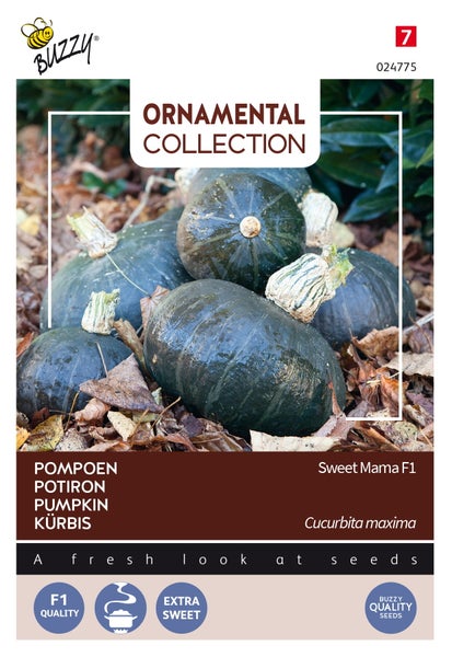 Samenpackung für Sweet Mama Kürbisse der Ornamentkollektion