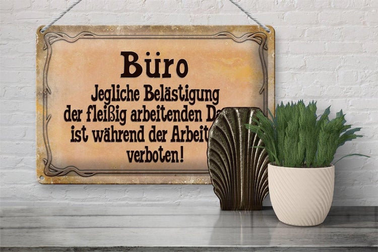Blechschild Spruch 30x20cm Büro Belästigung der Damen