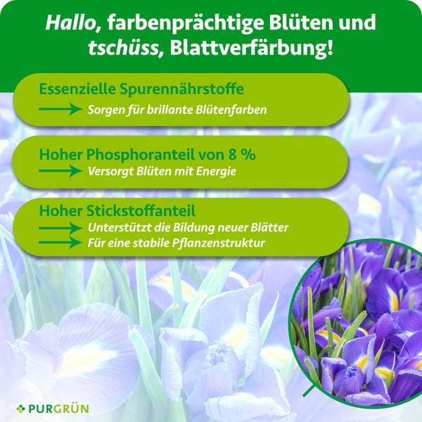 Purgrün Pflanzendünger Infografik: Vorteile wie Spurennährstoffe, 8 Prozent Phosphor für Energie und Stickstoff für Blattbildung. Purgrün Logo.