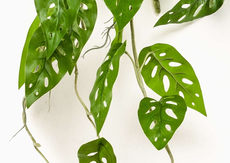 Ganze orangefarbene Mandarine mit strukturierter Schale.