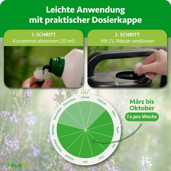 Flasche Purgrün Rosmarin Dünger 1 Liter, Bio-Flüssigdünger mit Vinasse und Algenextrakt, hergestellt in Deutschland.