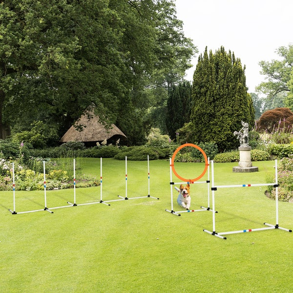 PawHut Agility-Ausrüstung, 323L x 67B x 94,5H cm, PE, Weiß+Gelb