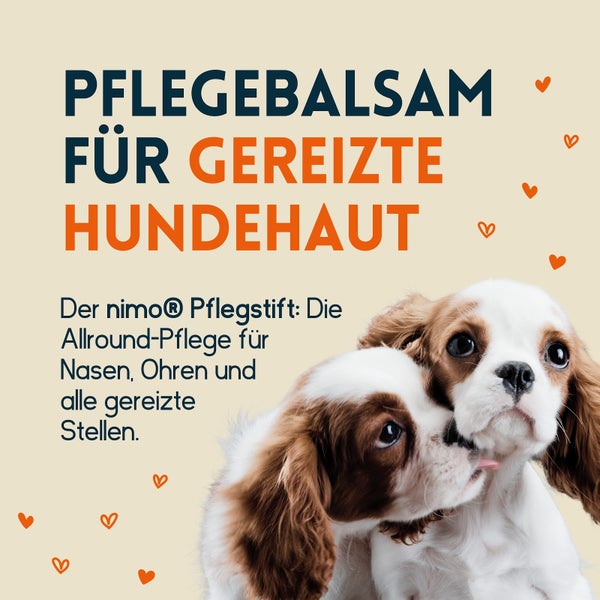 nimo® Hunde Pflegestift • mit Bienenwachs und Propolis gegen gereizte und trockene Stellen