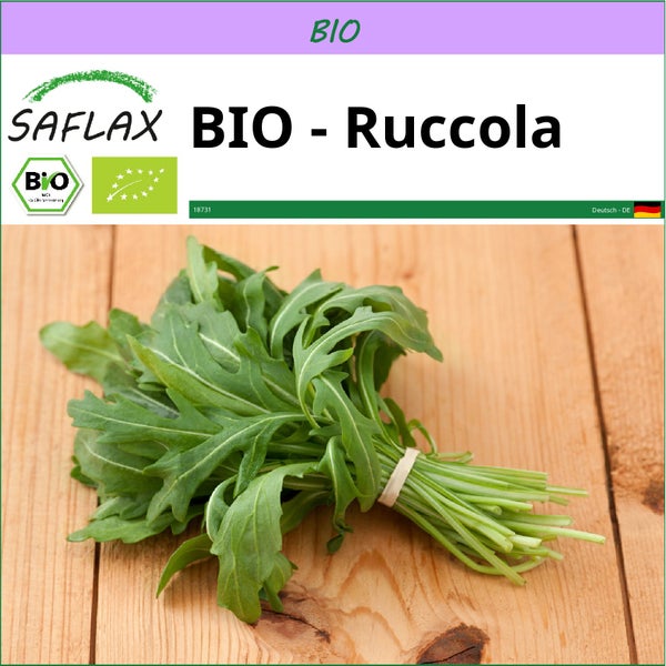 SAFLAX  - BIO - Ruccola - Eruca sativa - 3000 Samen