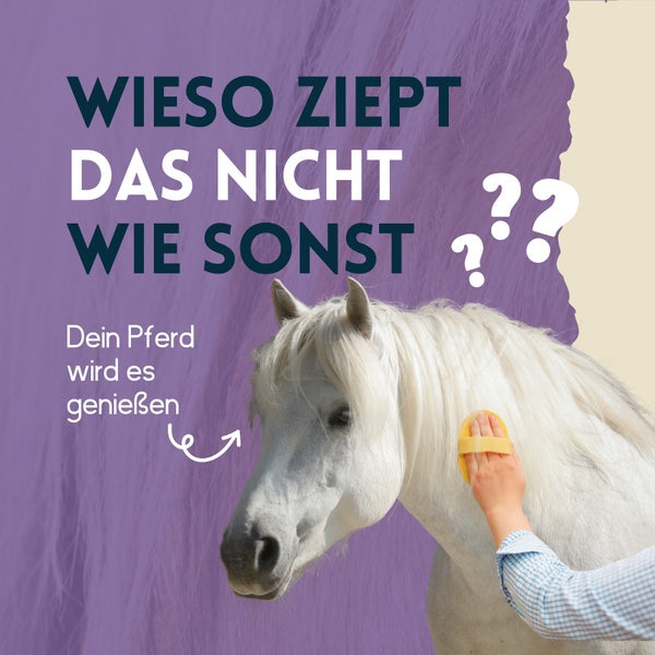 nimo® Mähnen Pflegespray • für leichtere Kämmbarkeit, Entwirrung und glänzende Mähne, Schweif