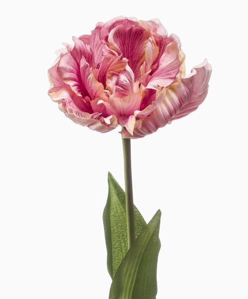 Künstliche Papageientulpe mit rosa-gelben Blütenblättern, grünem Stiel und Blättern.