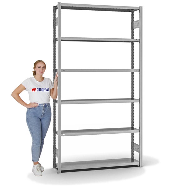 PROREGAL Fachbodenregal Stecksystem T-Profil Light-Duty Grundregal HxBxT 250 x 130 x 30 cm 6 Ebenen Fachlast 175 kg Beidseitig Nutzbar Verzinkt