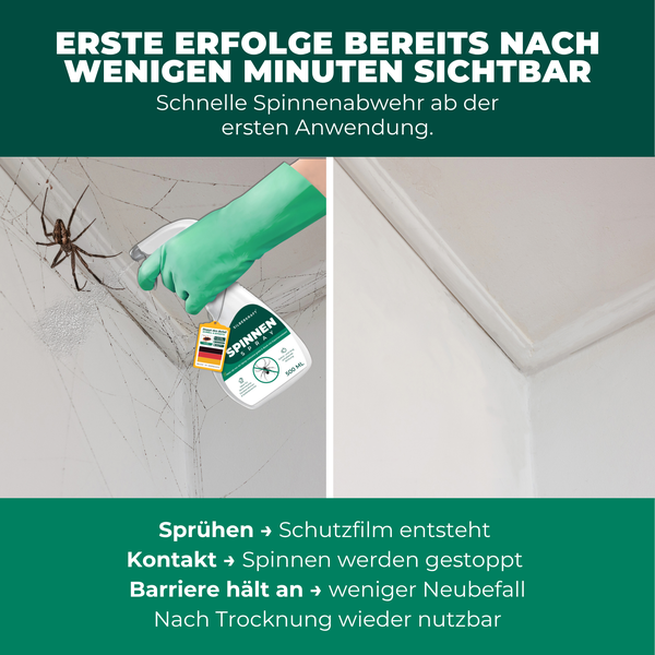 Spinnenspray in Anwendung gegen Spinnen und Spinnweben