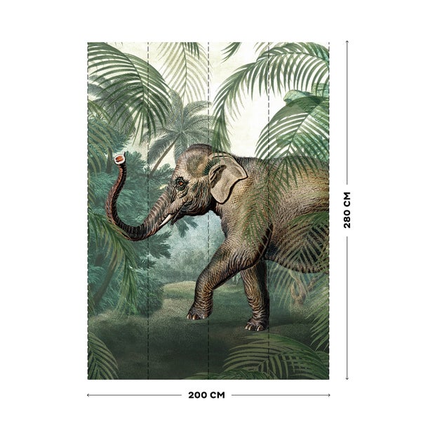 Elefant - Fototapete - 280x200 cm