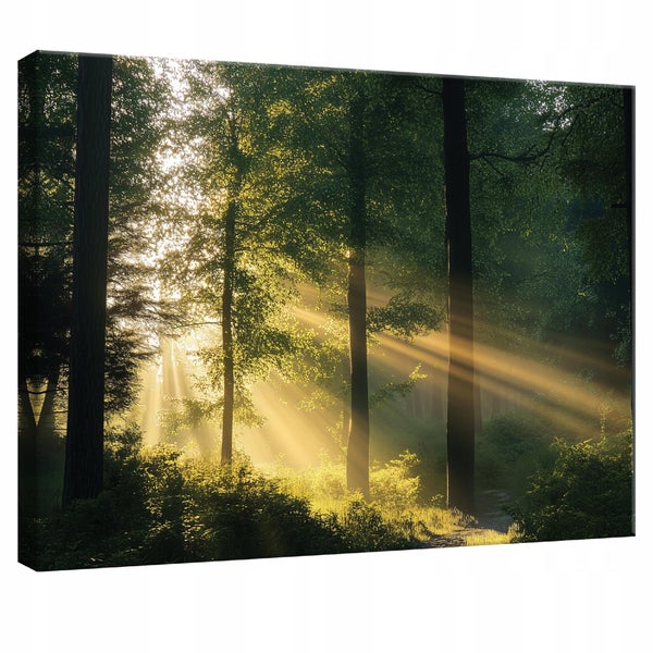 Bilder Wald Natur Leinwandbild Wandbild Wanddeko Schlafzimmer 100X70 cm