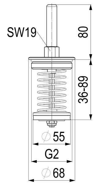 Technische Zeichnung eines Ablaufventils mit Maßen 80 Millimeter, 36 bis 89 Millimeter, Gewinde G2 und Durchmesser 55 sowie 68 Millimeter.