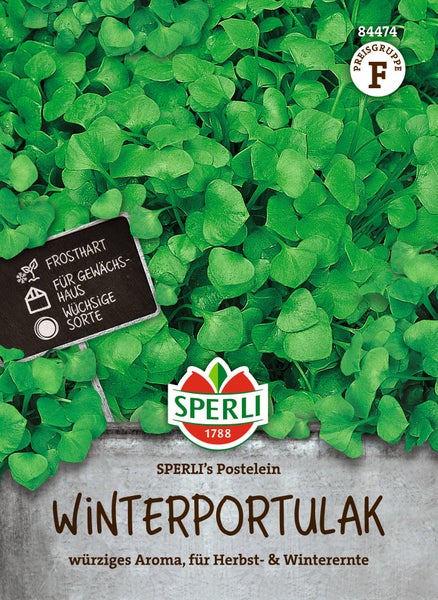Samen für Winterportulak Postelein von Sperli für die Ernte im Herbst und Winter in einer Samentüte mit Informationen zu Frosthärte und Wuchs.