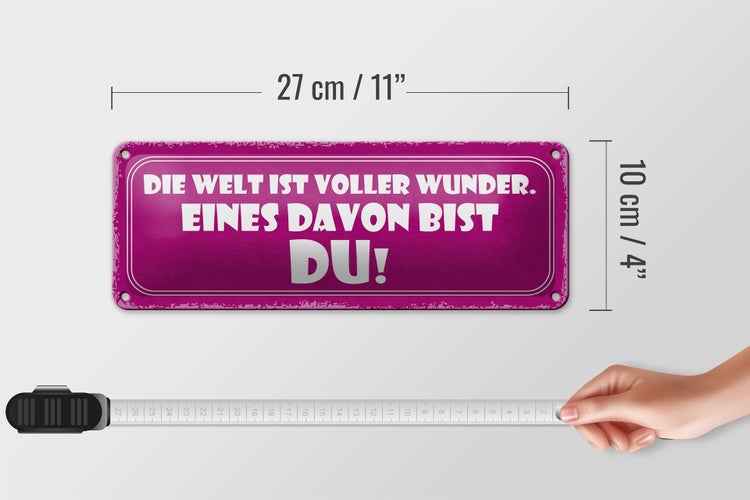 Blechschild Spruch 27x10cm Welt voller Wunder eines bist DU Dekoration