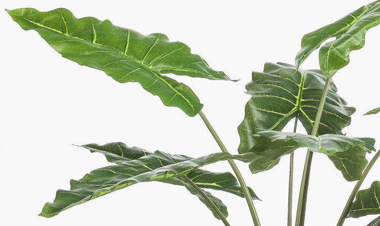 Künstliche Alocasia mit großen, strukturierten grünen Blättern und hellen Blattadern.