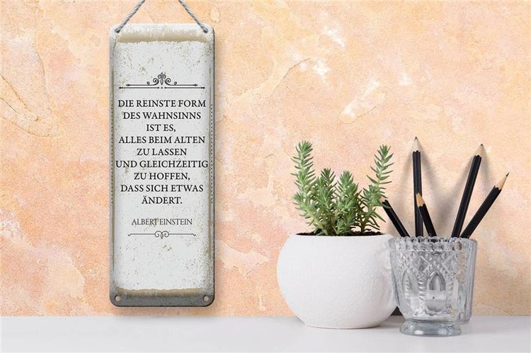 Blechschild Spruch Einstein reinste Form Wahnsinns 10x27cm