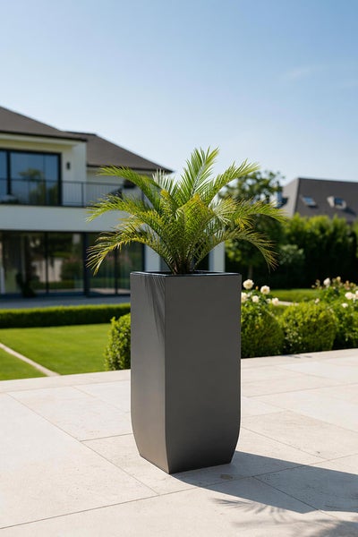 Hoher quadratischer Pflanzkübel in Anthrazit mit einer grünen Palme auf einer modernen Terrasse vor einem hellen Wohnhaus.