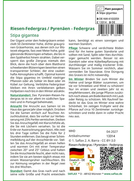 SAFLAX Garden to go - Riesen-Federgras / Pyrenäen - Federgras - Stipa gigantea - 10 Samen - Mit Topf, Klima - Deckel und Anzuchtsubstrat