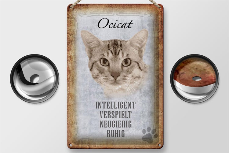 Blechschild Spruch 20x30cm Ocicat Katze verspielt Schild