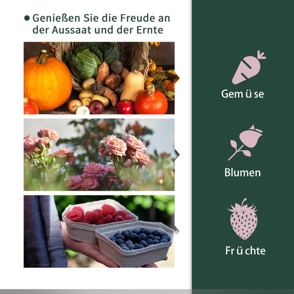 Nahaufnahme von einer Oberfläche mit Kieselsteinputzstruktur