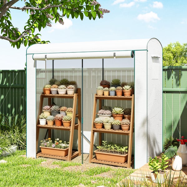 Folientreibhaus für den Garten mit zwei integrierten Holzregalen gefüllt mit verschiedenen Sukkulenten und Pflanzen in Töpfen.
