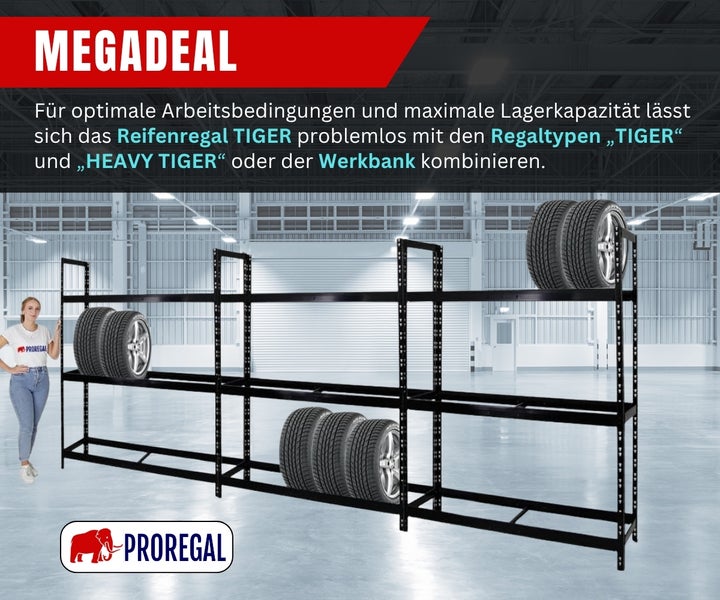 Schwarzes Reifenregal TIGER von Proregal in einer hellen Lagerhalle mit drei Ebenen zur Reifenlagerung. Proregal Logo.